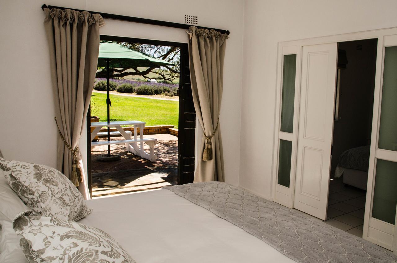 Lavinia Lifestyle Villa สเตลเลนบอช ภายนอก รูปภาพ
